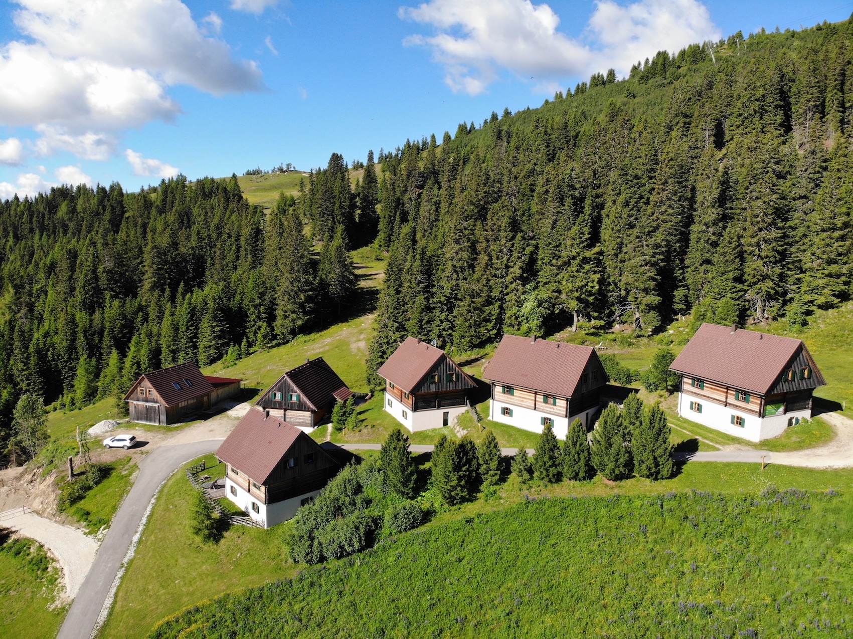 Moselebauer Hütten