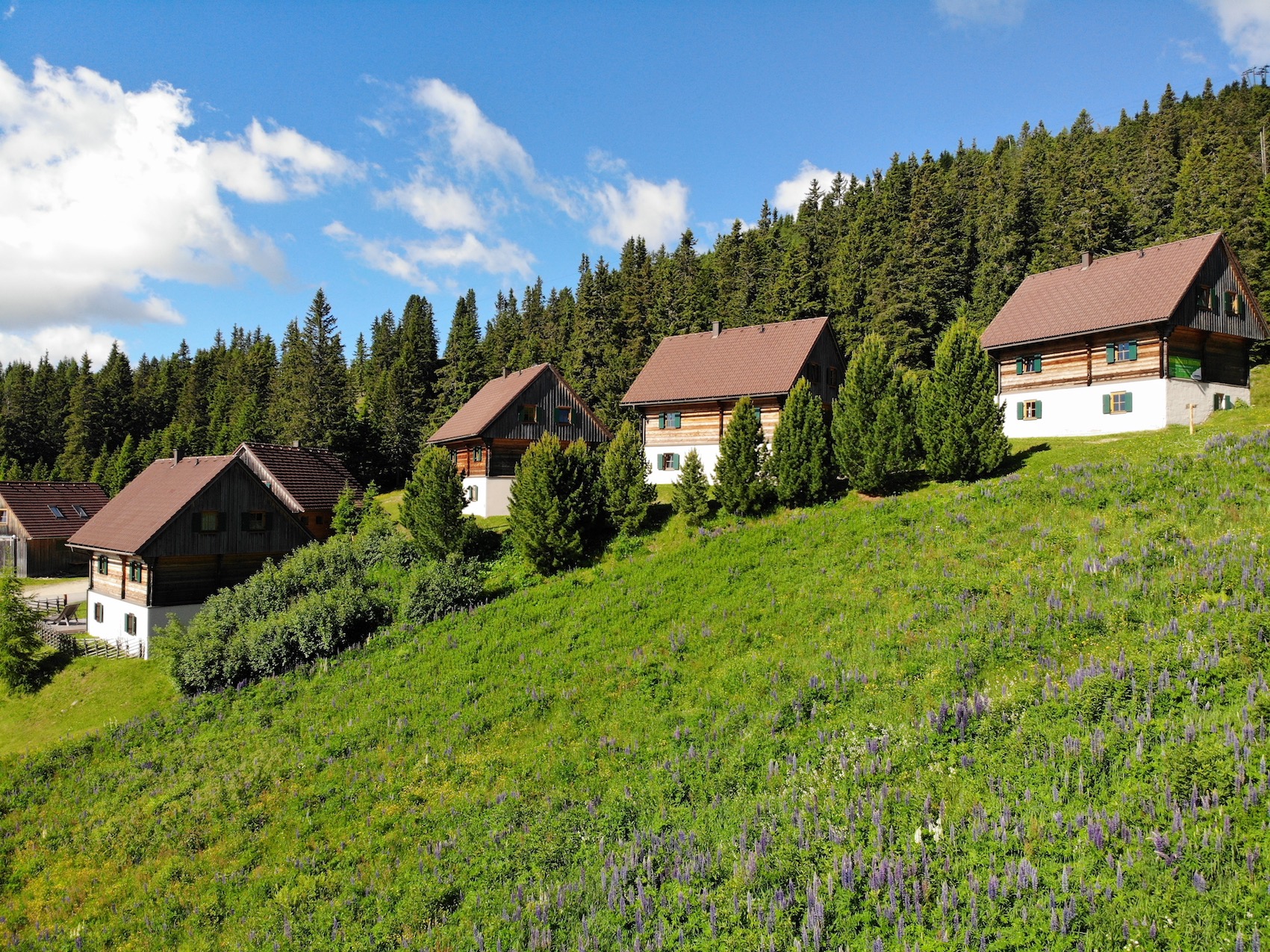 Moselebauer Hütten